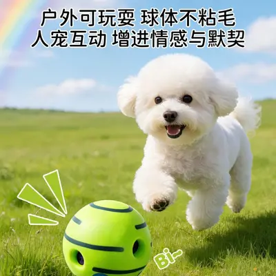 狗狗玩具滚动发声球自嗨球傻笑球亚马逊磨牙解闷耐咬球宠物发声球