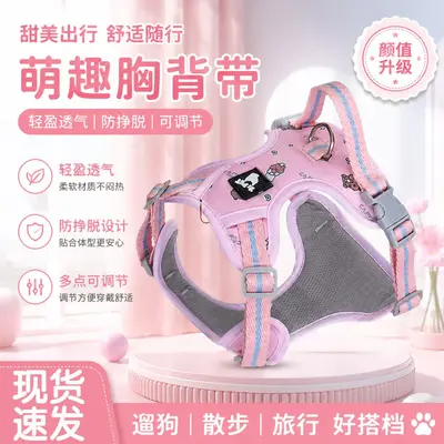 Adjustable Reflective Vest-Style Dog Harness and Leash for Small and Medium Dogs