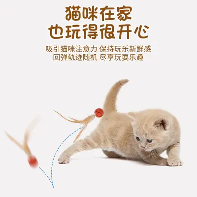 猫玩具弹力球自嗨解闷逗猫棒新款运动球带羽毛猫消耗体力用品 - 9
