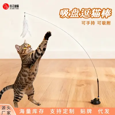 Detachable Wire Cat Teaser Wand with Strong Suction Cup - 1