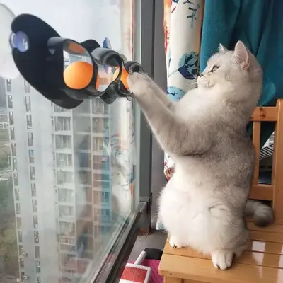 Window Cat Walkway with Suction Cup Ping Pong Ball Cat Toy