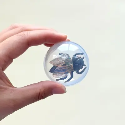 Simulated Fly Cat Teaser Ball, Transparent, Durable Cat Toy - 11