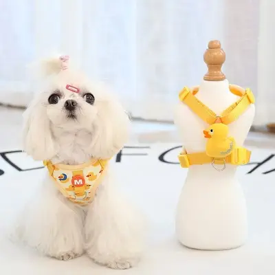 Small Dog Vest-Style Harness with Walking Leash - 7