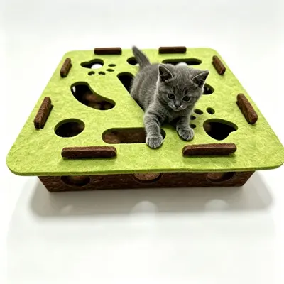 Cat Treat Puzzle Box Toy, Interactive Maze with Hide-and-Seek Holes