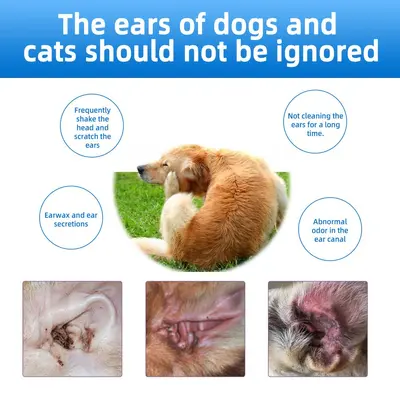 Kedi ve köpek kulak temizleme sıvısı, kulak akarı önleyici damla
