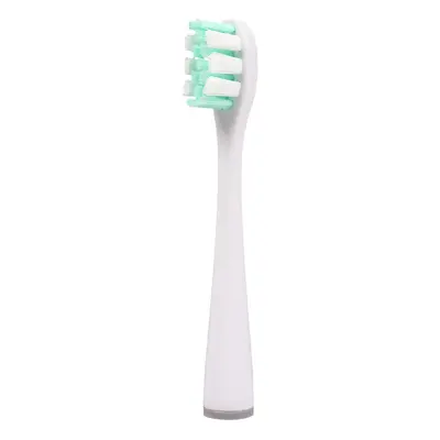 Replacement Brush Heads for US Series Electric Toothbrushes, Adult - 9