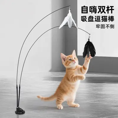 Suction Cup Cat Teaser Wand with Detachable Steel Wire Dual Heads and Replacement Head