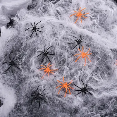 Halloween Spider Web Decoration Set with Colorful Mini Spiders, Outdoor