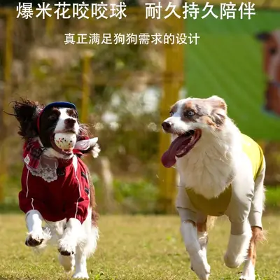 Köpek oyuncak topu, dayanıklı, ısırmaya dayanıklı, ETPU, yüksek zıplayan