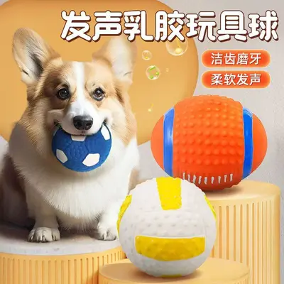 Squeaky Chew-Resistant Dog Ball for All Dog Sizes - 2