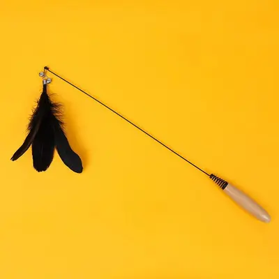 CFA Wooden Handle Spring Cat Teaser Wand with Replaceable Feathers - 11