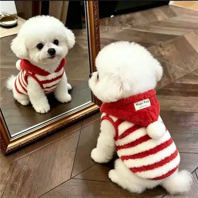 Kapüşonlu Köpek Yeleği, Kalın, Sıcak, Küçük Irk
