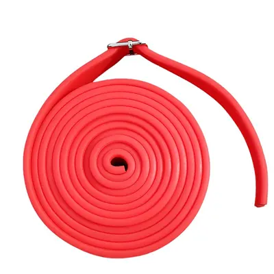 Thickened Rubber Track and Field Training Resistance Band - 6