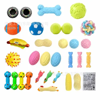 Vinyl Squeaky Dog Toy, Durable Chew Toy for Teeth Cleaning - 3