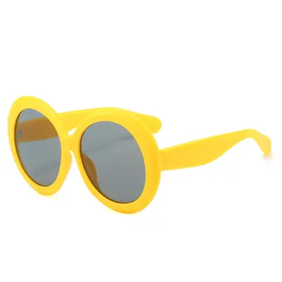 2026 Oval Sunglasses, Oversized Frame Women's Sunglasses - 6