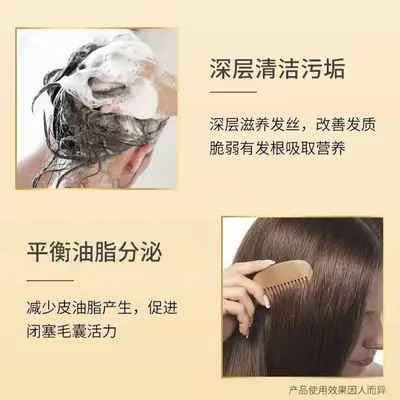 Tongrentang Schwarzer Reishi Ingwer Anti-Haarausfall-Shampoo - 3
