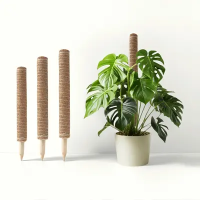 Monstera-Stützstab, natürliche Kokospalmensäule, Pflanzen-Kletterrahmen