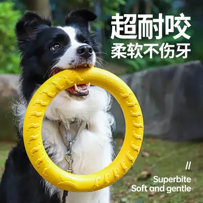 Large Dog Toy Ring Frisbee with Squeaker, Durable Chew-Resistant - 2