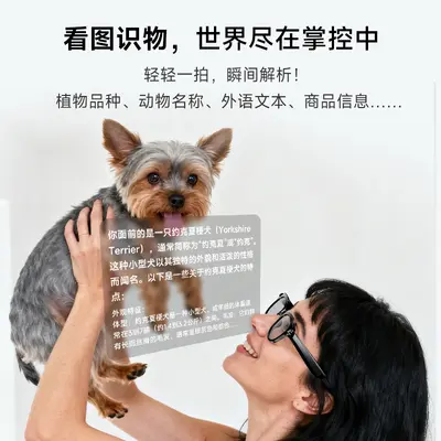 M89 Smart AI Translation Glasses with 800W HD Camera and Touch Control