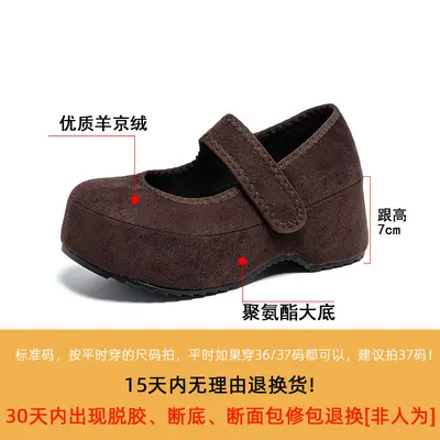 Women's Retro Velcro Mary Jane Shoes, Thick Sole, Spring Summer
