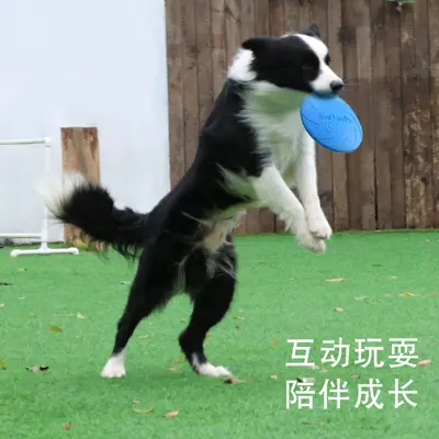 Meianju Dog Frisbee, Chew-Resistant, for Medium and Large Dogs - 5