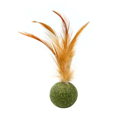 Catnip Feather Ball Cat Toy with Chew Snack and Cat Grass - 5