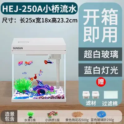 HEJ Mini-Aquarium aus extra klarem Glas mit Sauerstoffanreicherung, Tischaquarium - 8