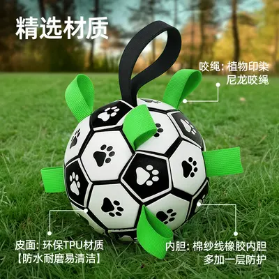 Chios Hundespielzeugball, Trainingsball für draußen - 5