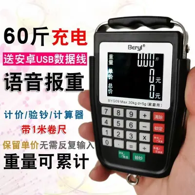 Voice pricing scale, rechargeable portable handheld
