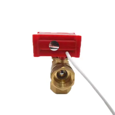 CWXDN20 Brass Three-Way Air Conditioning Exhaust Valve, Ultra-Small Micro Electric Valve