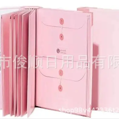 Manila Pocket File Document Organizer Folder - 8
