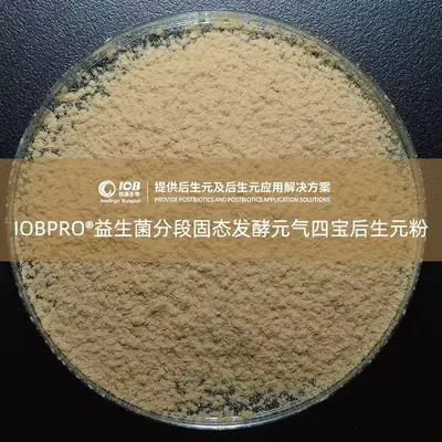 元气四宝后生元粉益生菌发酵后生元粉OEM/ODM定制代工贴牌厂家