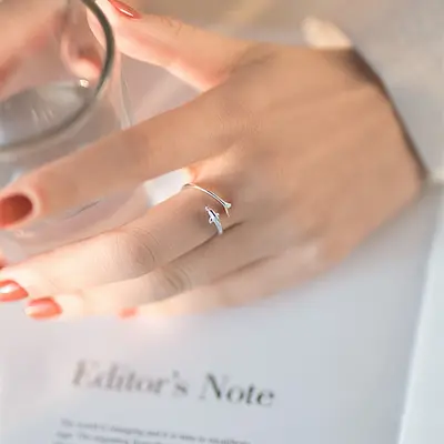 S999 Silber Delfinring Damen offener Ring Größe 18.6 - 4