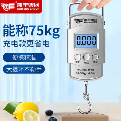 Kaifeng Taşınabilir Elektronik Terazi Portatif Yüksek Hassasiyetli Ev Bagaj Terazisi Kancalı Terazi Mini Küçük Kesin Yay Terazisi - 3