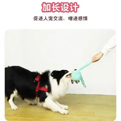 Plush Squeaky Dog Toy, Chew-Resistant, for Small Breeds