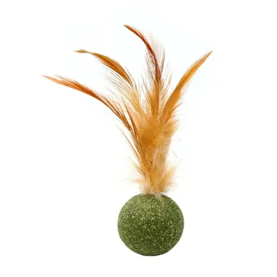 Catnip Tumbler Cat Self-Play Toy with Molar Chew Stick - 9