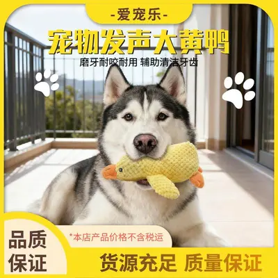 Plush Dog Toy, Chew-Resistant, Squeaky Sleep Companion - 1