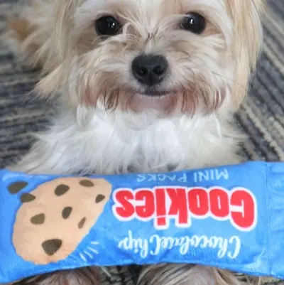 Durable Chew-Resistant Plush Cookie Dog Toy - 2