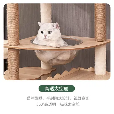 Büyük Ahşap Kedi Tırmanma Çerçevesi ve Kedi Ağacı, Dört Mevsim
