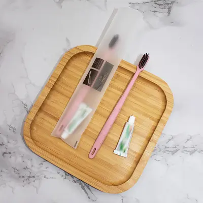 Disposable Hotel Toothbrush and Toothpaste Amenity Set - 8