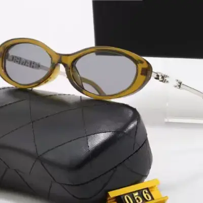 Oval Retro Women's Sunglasses, Polarized UV400, Acetate and Metal Frame - 11