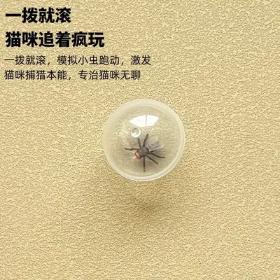 Simulated Fly Cat Teaser Ball, Transparent, Durable Cat Toy - 4