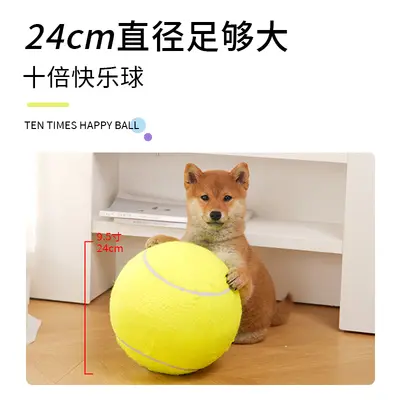 Büyük Irk Köpek Oyuncak Topu, 24 cm Tenis Topu - 3