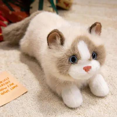 Simüle Ragdoll Kedi Peluş Oyuncak, 2026 - 7