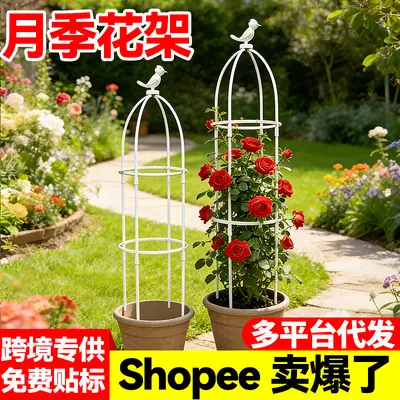 European-Style Garden Climbing Trellis for Roses and Clematis