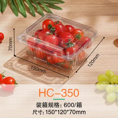 Einweg-Obst-Verpackungsbox mit Deckel, Frischgemüse-Kunststoffverpackungsbox, PET-Lebensmittelqualität, transparente Obstschnittbox - 10
