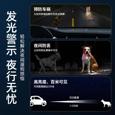Light-Up Dog Collar for Night Walks, Prevents Getting Lost - 4