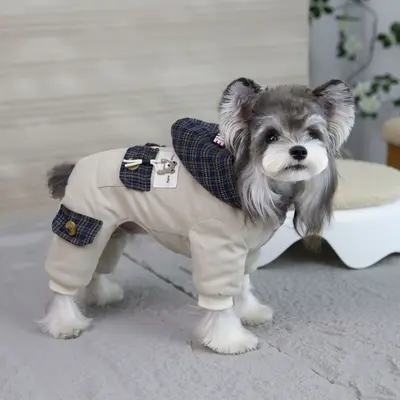 Pet Dog Four-Legged Cotton Coat, Autumn Winter - 8