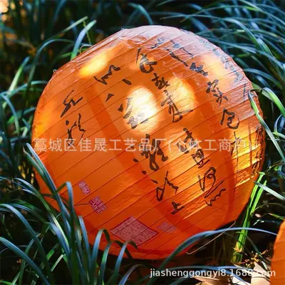 Wedding Paper Lanterns with Happy Wishes for Room Decor