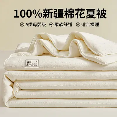 Class A Mother and Baby Grade Pure Cotton Summer Quilt 100% Xinjiang Cotton Summer Duvet Air Conditioning Quilt Full Cotton Children's Thin Bedding - 12